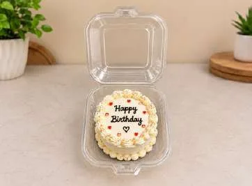 PET Bento Box, code 1401, holding a small birthday cake