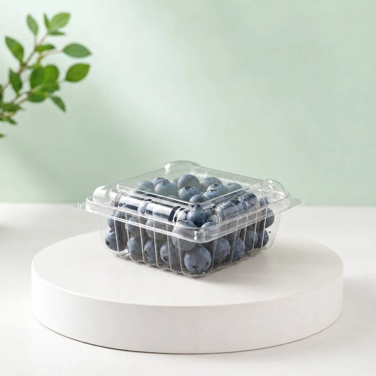 PET Square Berry Punnet, code 1648, holding blueberries