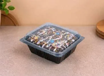 PET Brownie Box 08 09, code 1753, holding a frosted brownie