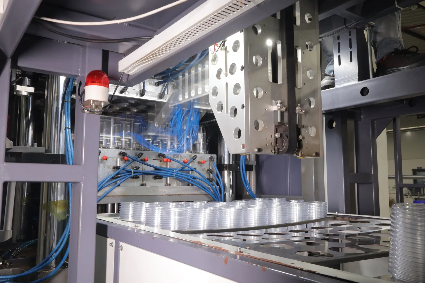 Oracle Group thermoforming